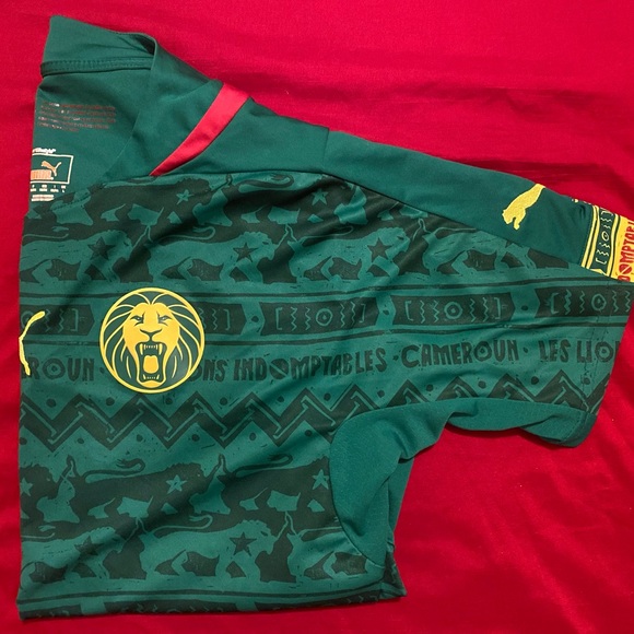 Puma Cameroon 2014 FIFA World Cup Soccer Jersey - Picture 4 of 5